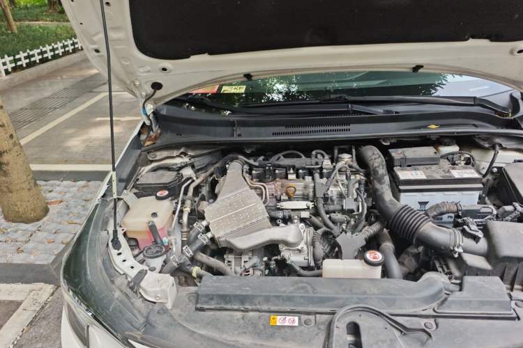 Used Toyota Levin 2019 185T CVT Luxury Edition China VI Standard Engine Bay Right