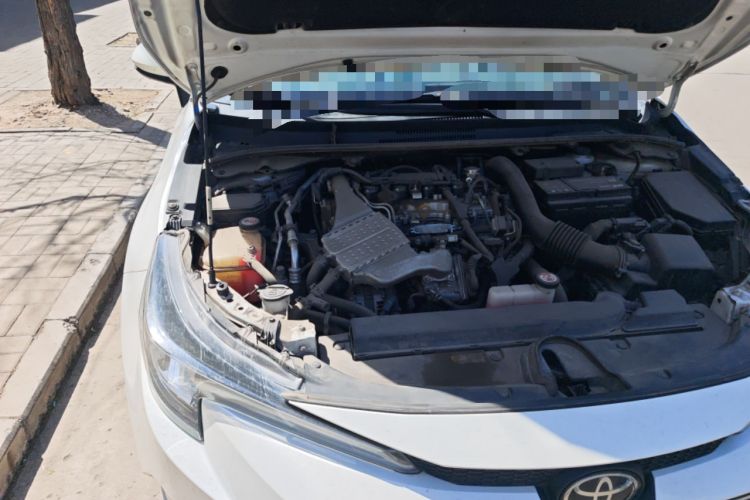 Used Toyota Levin 2019 185T CVT Luxury Edition China VI Standard Engine Bay Right