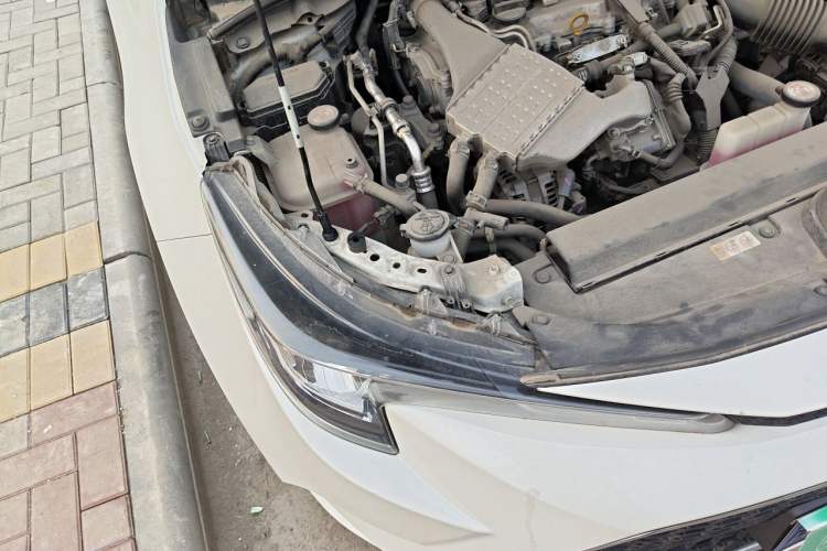 Used Toyota Levin 2019 185T CVT Luxury Edition China VI Standard Engine Bay Right