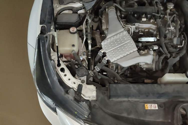 Used Toyota Levin 2019 185T CVT Luxury Edition China VI Standard Engine Bay Right