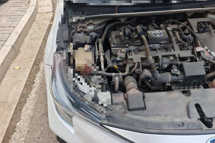 Used Toyota Levin 2019 Dual-Engine 1.8H E-CVT Sport Edition China VI Standard Engine Bay Right