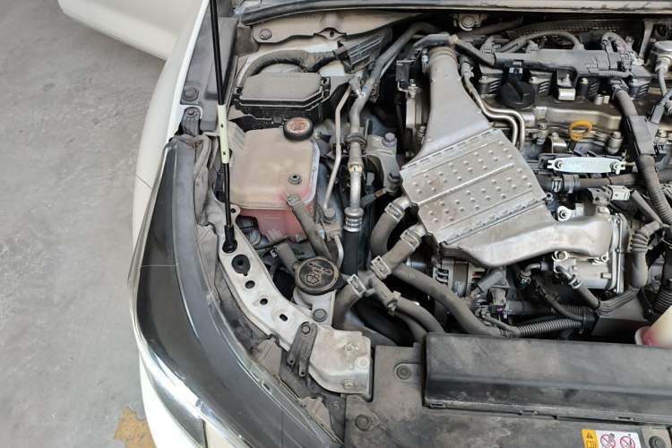 Used Toyota Levin 2019 185T CVT Luxury Edition China VI Standard Engine Bay Right