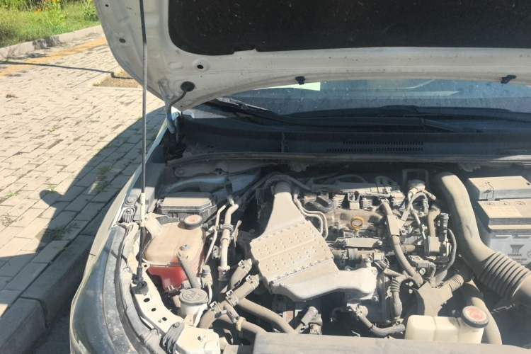 Used Toyota Levin 2019 185T CVT Luxury Edition China VI Standard Engine Bay Right
