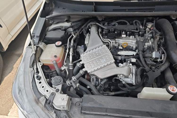 Used Toyota Levin 2019 185T CVT Luxury Edition China V Standard Engine Bay Right