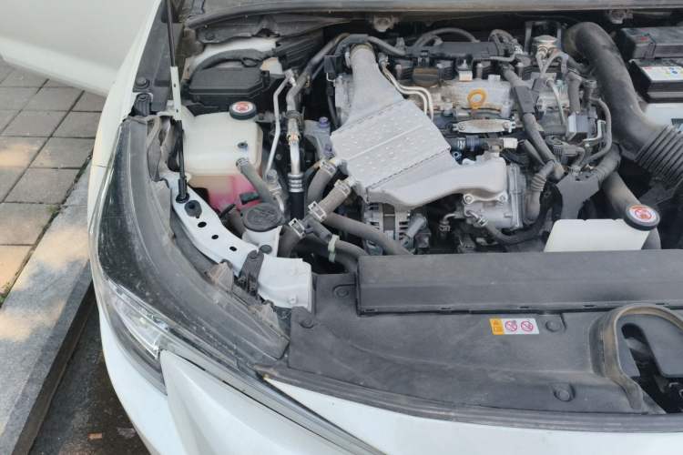 Used Toyota Levin 2019 185T CVT Luxury Edition China VI Standard Engine Bay Right
