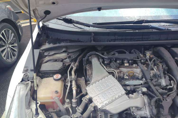 Used Toyota Levin 2019 185T CVT Luxury Edition China VI Standard Engine Bay Right