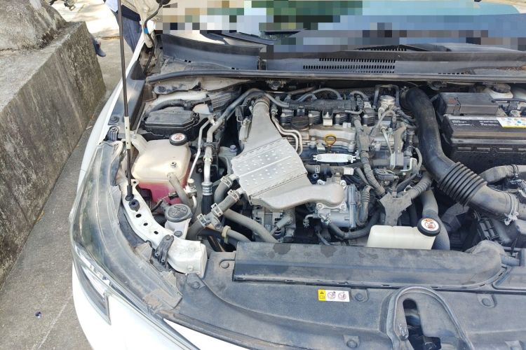 Used Toyota Levin 2019 185T CVT Luxury Edition China VI Standard Engine Bay Right