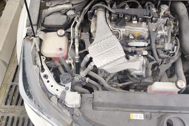 Used Toyota Levin 2019 185T CVT Luxury Edition China VI Standard Engine Bay Right