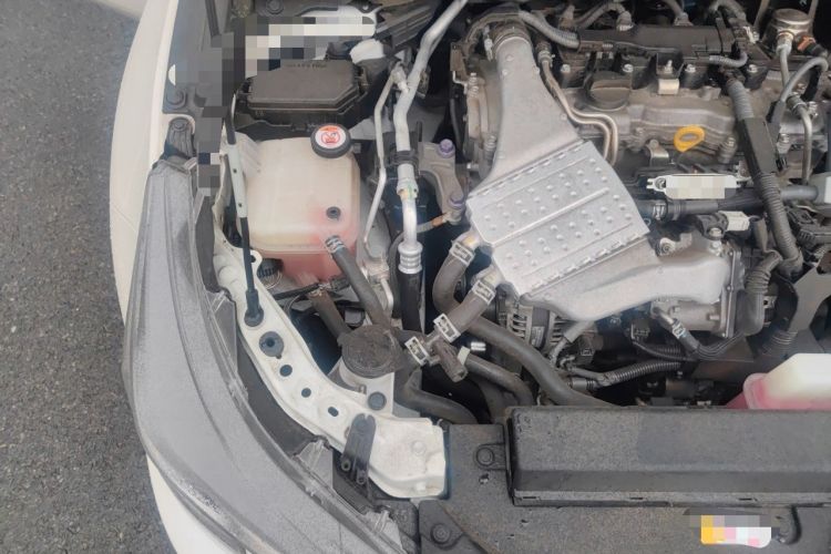 Used Toyota Levin 2019 185T CVT Luxury Edition China VI Standard Engine Bay Right