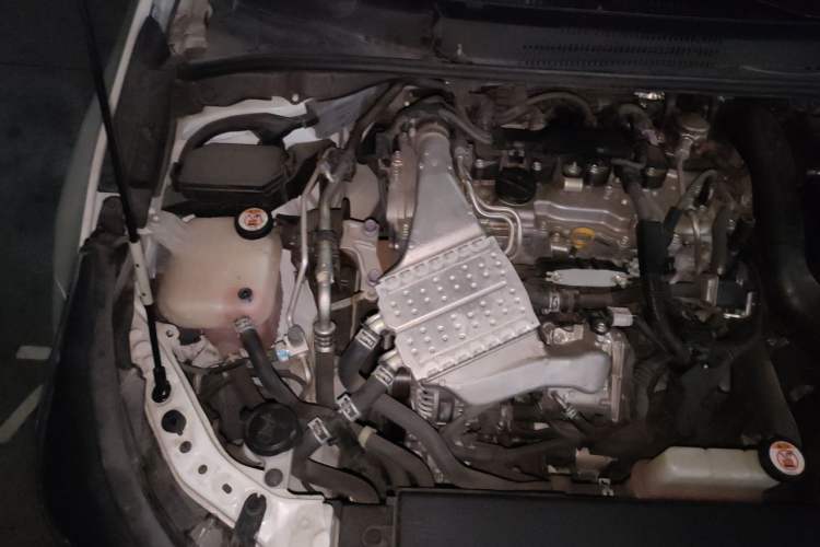 Used Toyota Levin 2019 185T CVT Luxury Edition China VI Standard Engine Bay Right
