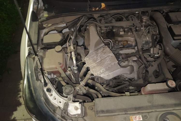 Used Toyota Levin 2019 185T CVT Luxury Edition China VI Standard Engine Bay Right