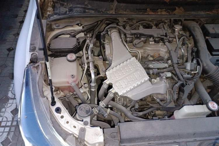Used Toyota Levin 2019 185T CVT Luxury Edition China V Standard Engine Bay Right