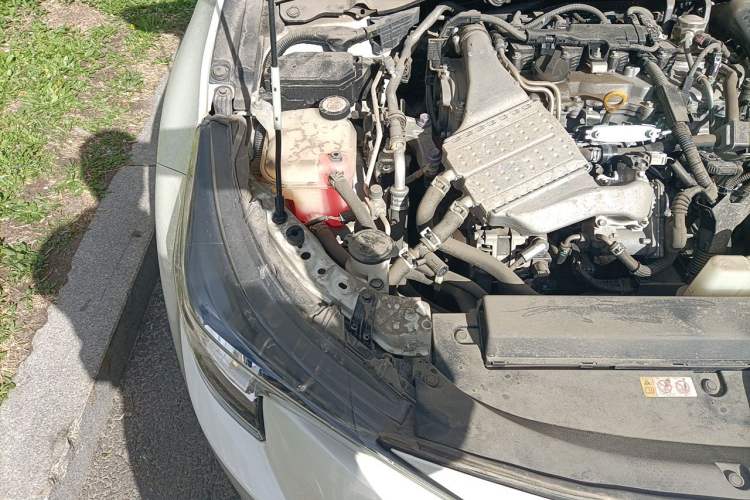 Used Toyota Levin 2019 185T CVT Luxury Edition China V Standard Engine Bay Right