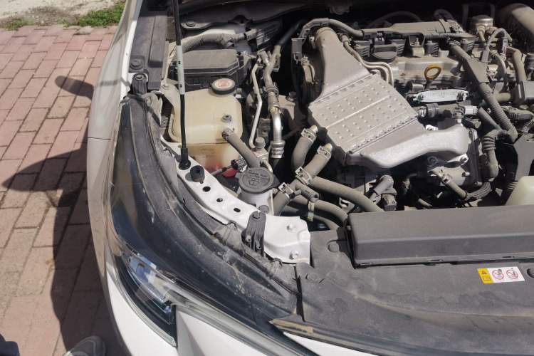 Used Toyota Levin 2019 185T CVT Luxury Edition China VI Standard Engine Bay Right