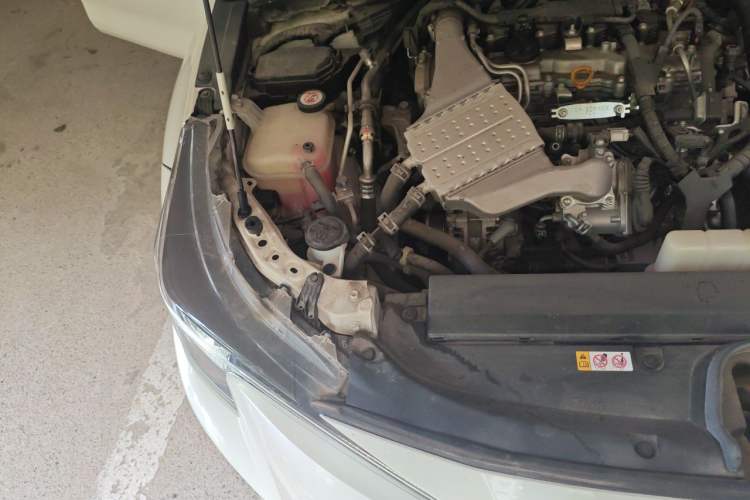 Used Toyota Levin 2019 185T CVT Luxury Edition China VI Standard Engine Bay Right