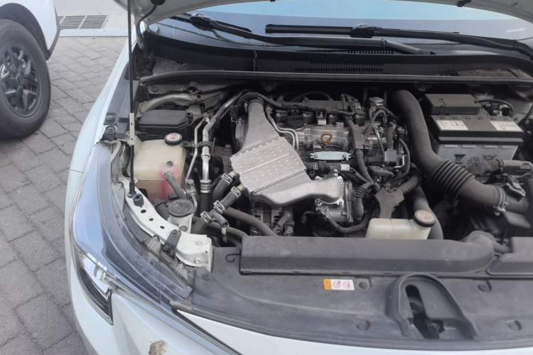 Used Toyota Levin 2019 185T CVT Luxury Edition China VI Standard Engine Bay Right