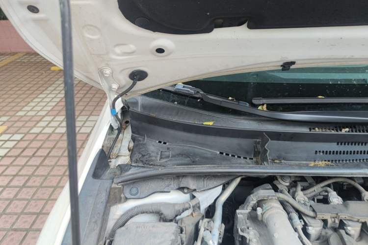 Used Toyota Levin 2019 185T CVT Luxury Edition China VI Standard Engine Bay Right