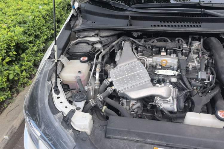 Used Toyota Levin 2019 185T CVT Luxury Edition China VI Standard Engine Bay Right