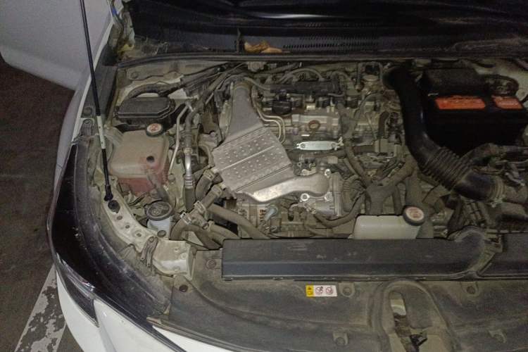 Used Toyota Levin 2019 185T CVT Luxury Edition China VI Standard Engine Bay Right