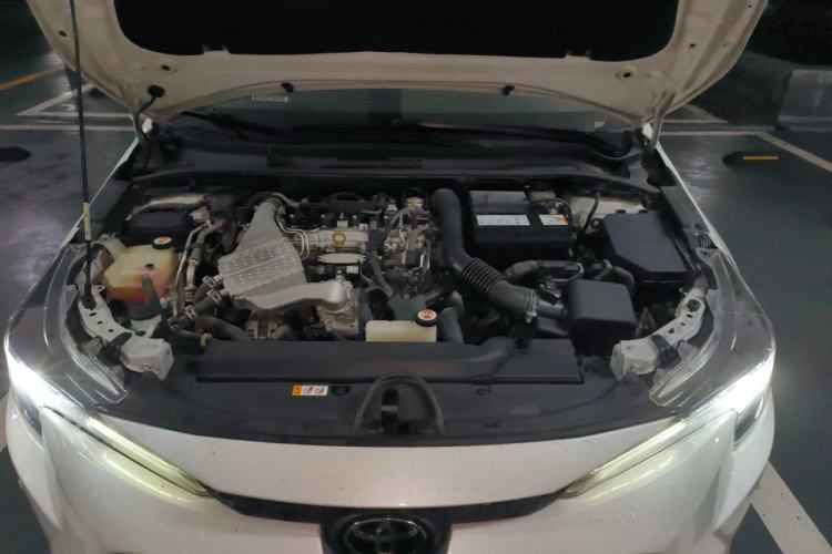 Used Toyota Levin 2019 185T CVT Luxury Edition China VI Standard Engine Bay