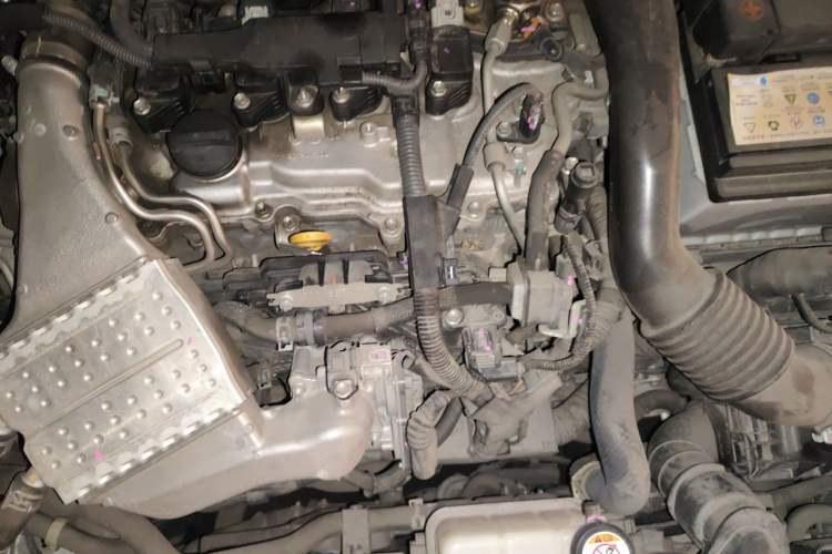 Used Toyota Levin 2019 185T CVT Luxury Edition China VI Standard Engine Bay