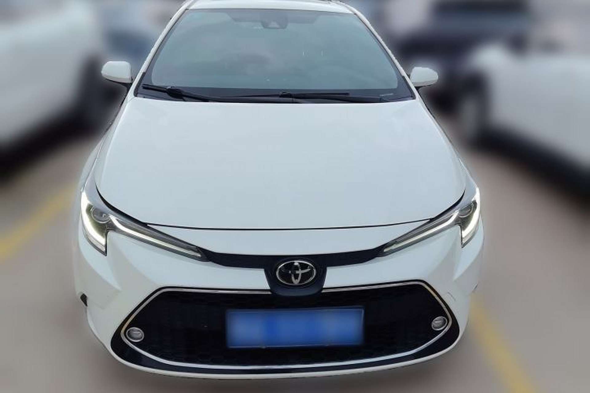 Used Toyota Levin 2019 185T CVT Sport Edition China VI Standard Front