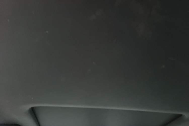 Used Toyota Levin 2019 Dual-Engine 1.8H E-CVT Sport Edition China VI Standard Headliner