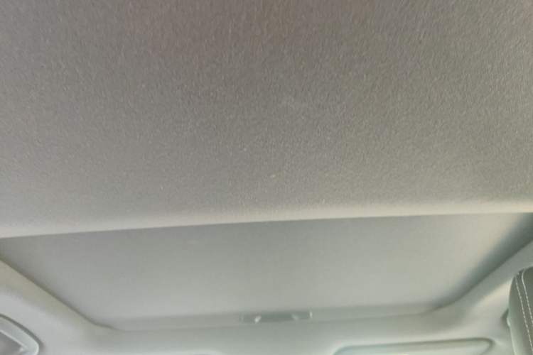 Used Toyota Levin 2019 185T CVT Luxury Edition China VI Standard Headliner