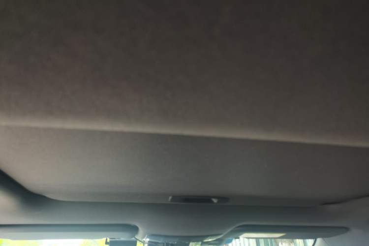 Used Toyota Levin 2019 185T CVT Luxury Edition China VI Standard Headliner