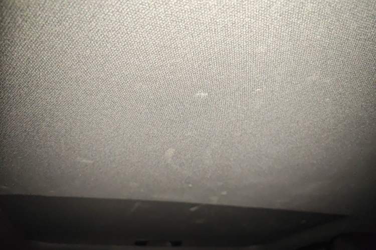 Used Toyota Levin 2019 Dual-Engine 1.8H E-CVT Sport Edition China VI Standard Headliner