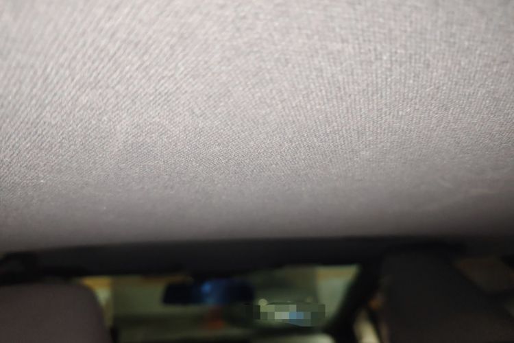 Used Toyota Levin 2019 185T CVT Luxury Edition China VI Standard Headliner