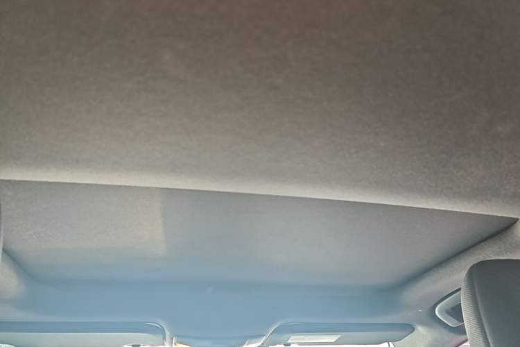 Used Toyota Levin 2019 185T CVT Luxury Edition China V Standard Headliner