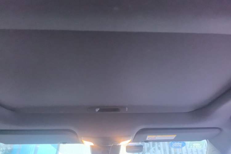 Used Toyota Levin 2019 185T CVT Luxury Edition China VI Standard Headliner