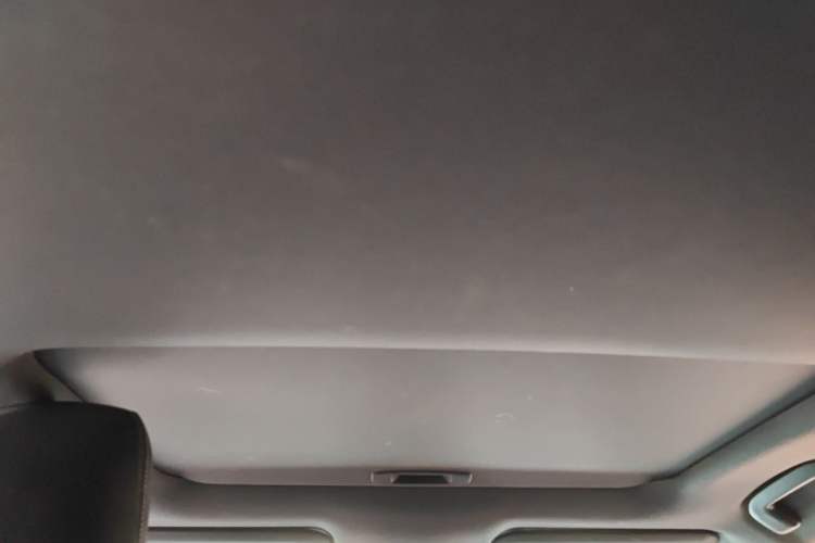 Used Toyota Levin 2019 185T CVT Luxury Edition China VI Standard Headliner