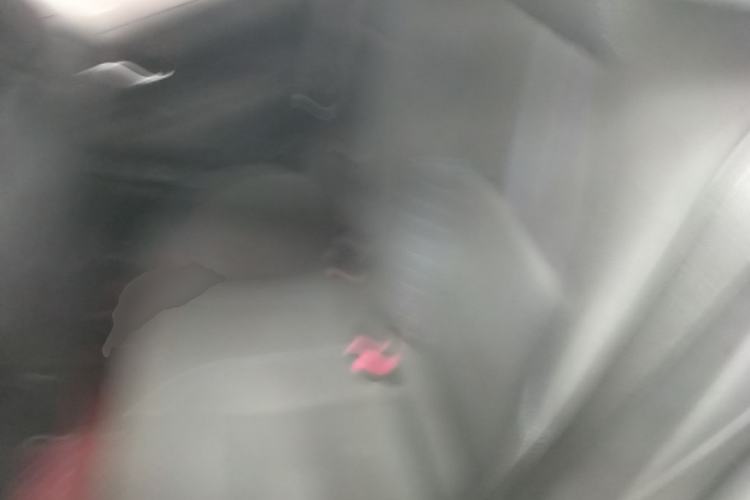 Used Toyota Levin 2019 185T CVT Sport Edition China VI Standard Left Rear Seat