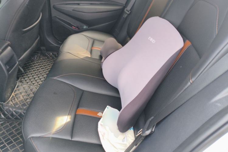 Used Toyota Levin 2019 185T CVT Luxury Edition China VI Standard Left Rear Seat