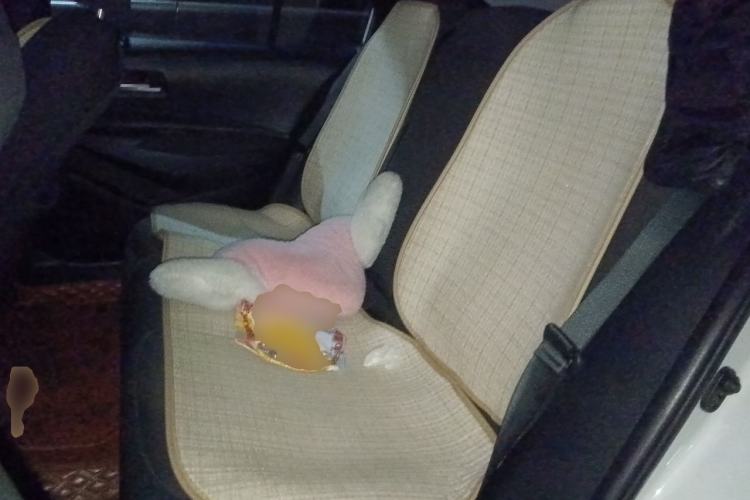 Used Toyota Levin 2019 185T CVT Sport Edition China VI Standard Left Rear Seat