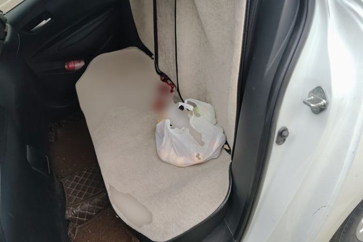Used Toyota Levin 2019 185T CVT Luxury Edition China VI Standard Left Rear Seat
