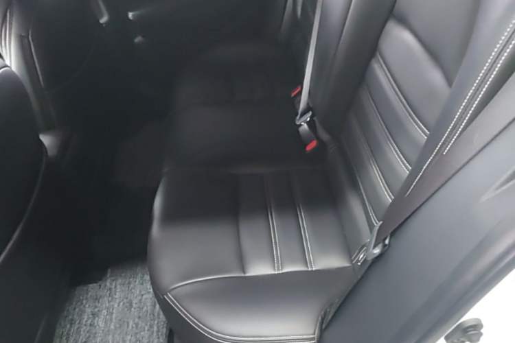 Used Toyota Levin 2019 185T CVT Luxury Edition China VI Standard Left Rear Seat