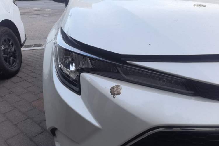Used Toyota Levin 2019 185T CVT Luxury Edition China VI Standard Right Front Headlight
