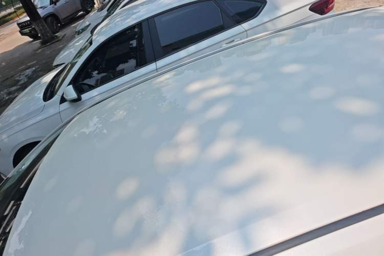 Used Toyota Levin 2019 185T CVT Entry-Level Version China VI Standard Roof