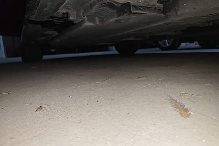 Used Toyota Levin 2021 185T CVT Luxury Edition Chassis Rear Left