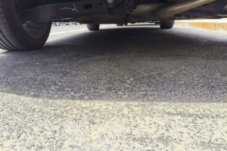 Used Toyota Levin 2021 2.0L Luxury Edition Chassis Rear