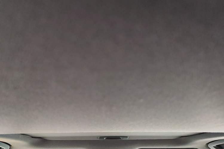 Used Toyota Levin 2021 185T CVT Sport Edition Headliner