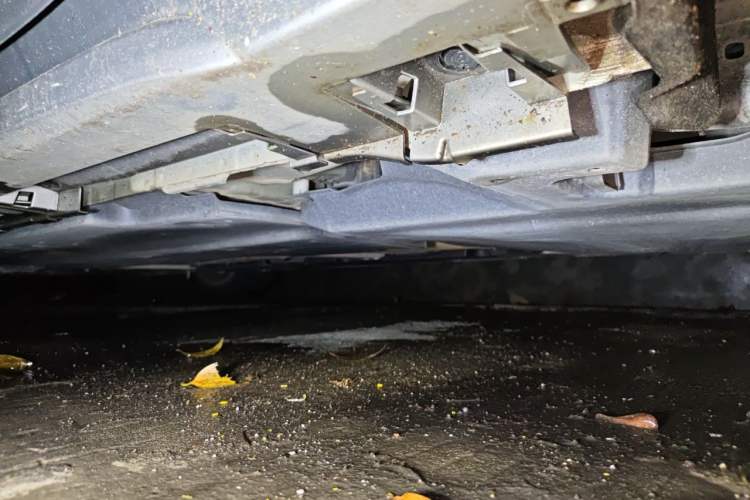 Used Toyota Levin 2021 TNGA 1.5L CVT Leading Edition Chassis Rear Left