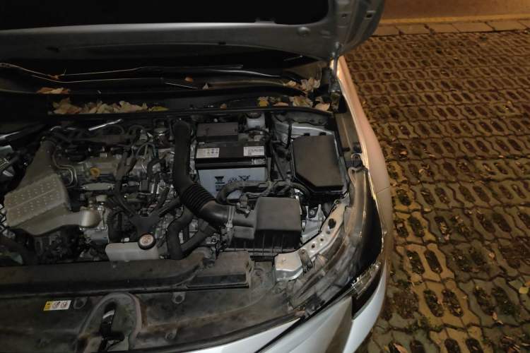 Used Toyota Levin 2021 185T CVT Luxury Edition Engine Bay Left