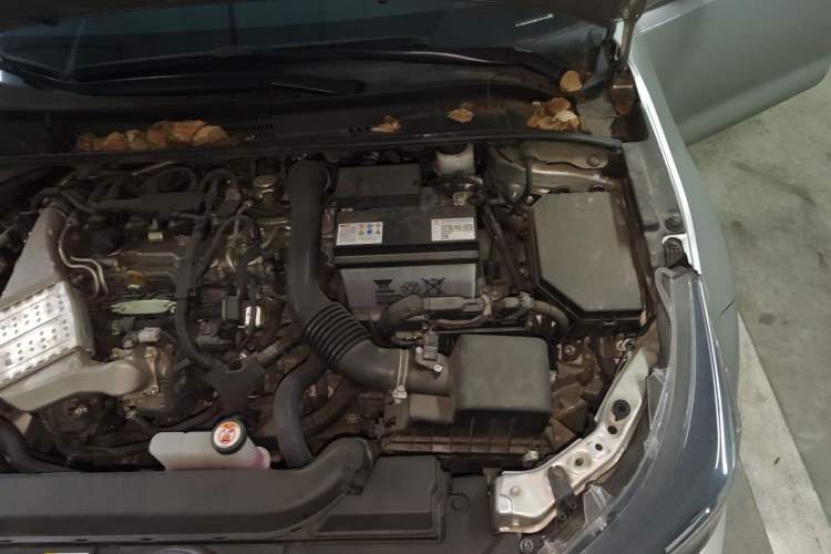 Used Toyota Levin 2021 185T CVT Luxury Edition Engine Bay Left