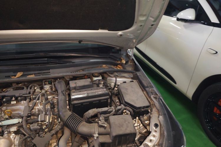 Used Toyota Levin 2021 185T CVT Sport Edition Engine Bay Left