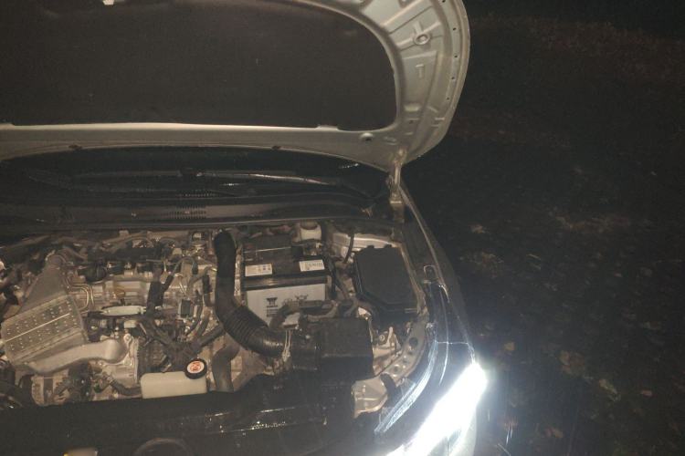 Used Toyota Levin 2021 185T CVT Luxury Edition Engine Bay Left