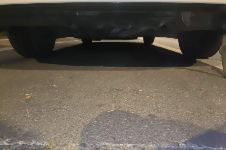 Used Toyota Levin 2021 185T CVT Luxury Edition Chassis Rear